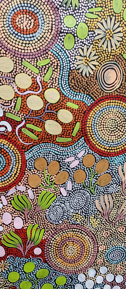 Aboriginal Painting - Budgerigar Dreaming