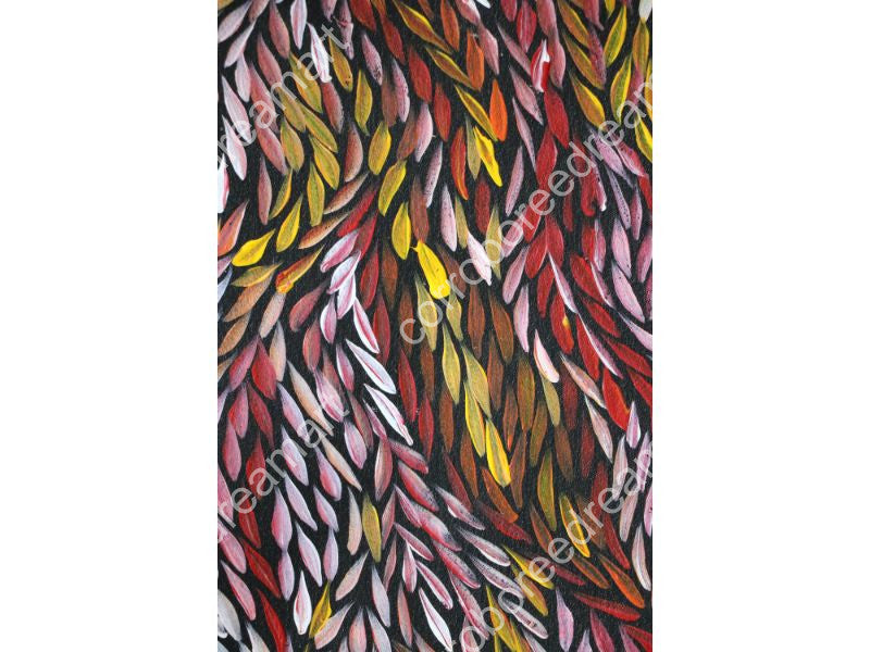 Aboriginal Painting - Bush Medicine Leaves