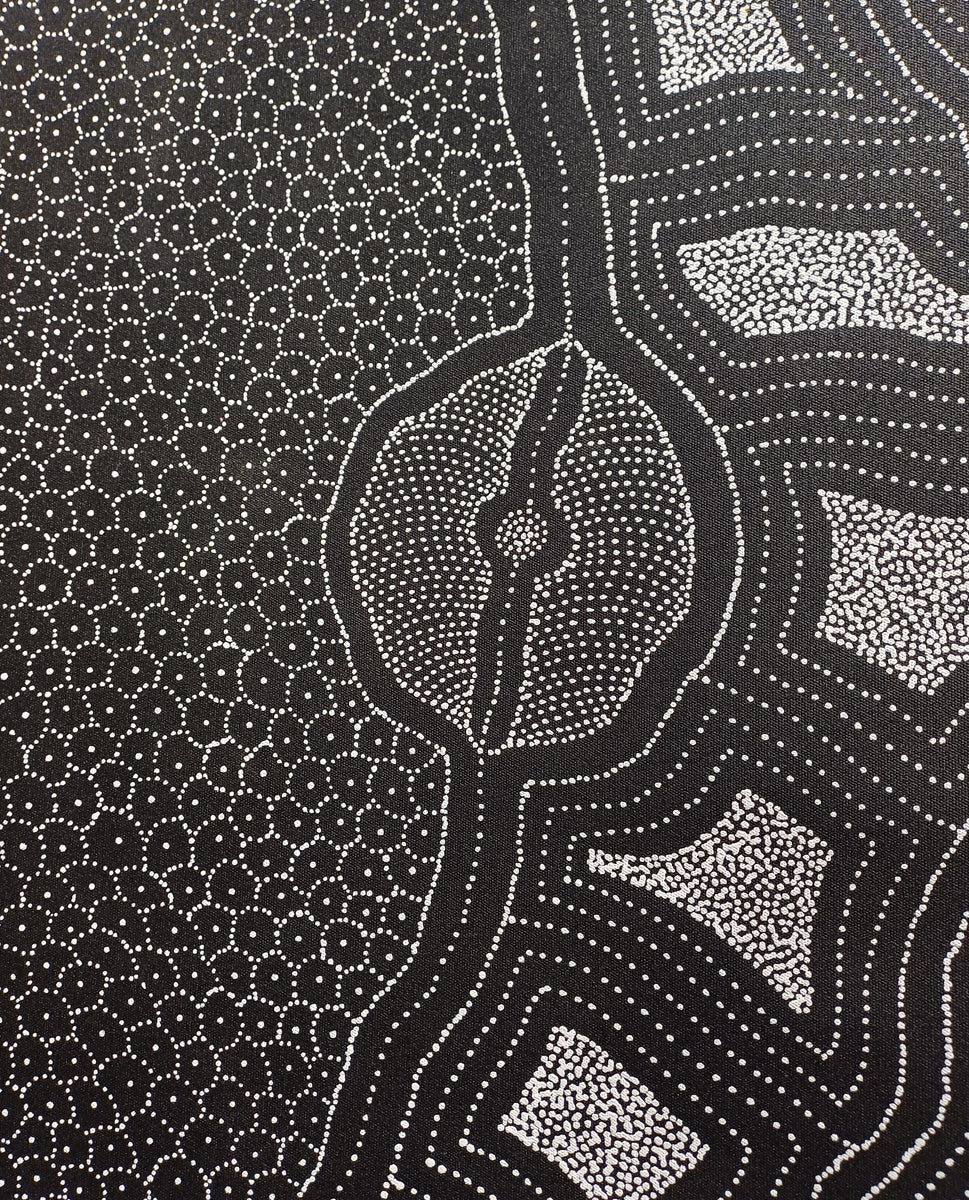 Aboriginal Painting - My Country