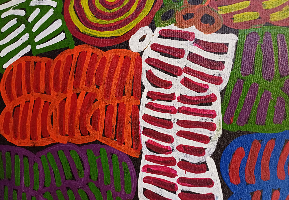 Aboriginal Painting - Alewye