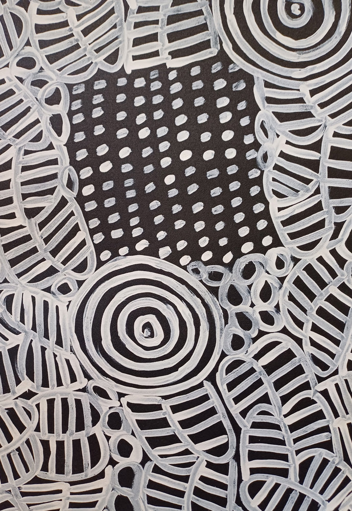 Aboriginal Painting - Alewye