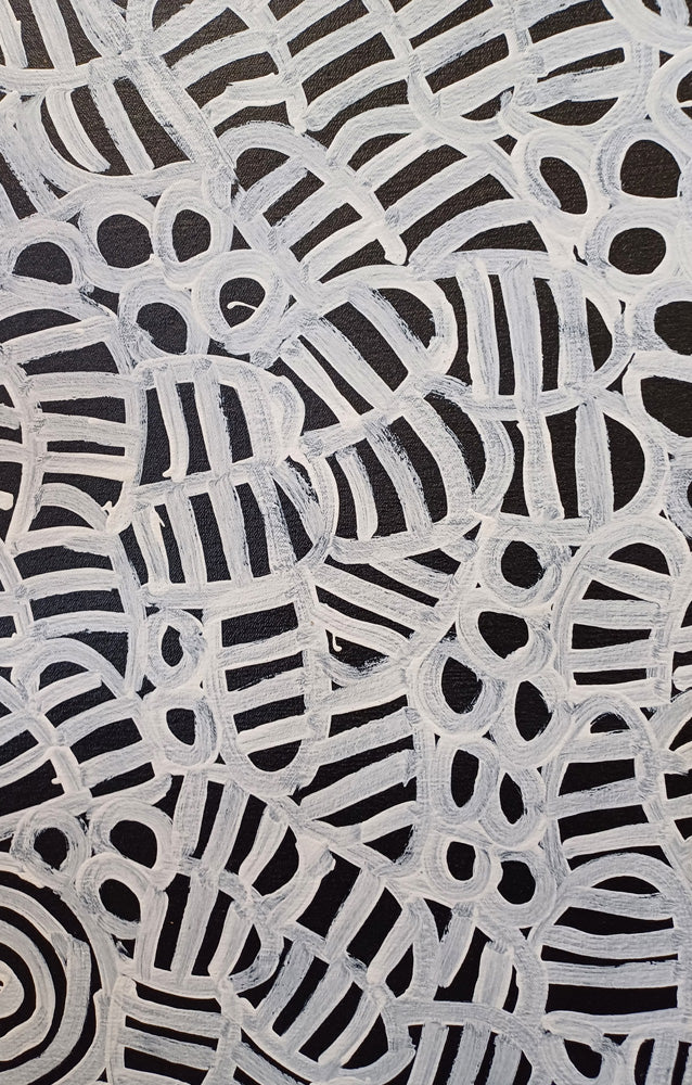 Aboriginal Painting - Alewye