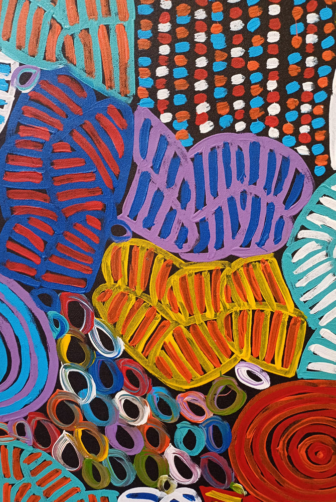 Aboriginal Painting - Alewye