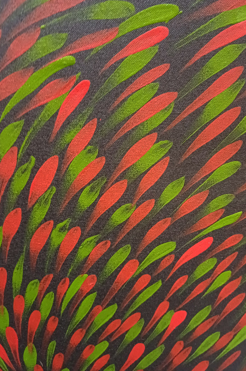 Aboriginal Painting - Bush Medicine Leaves