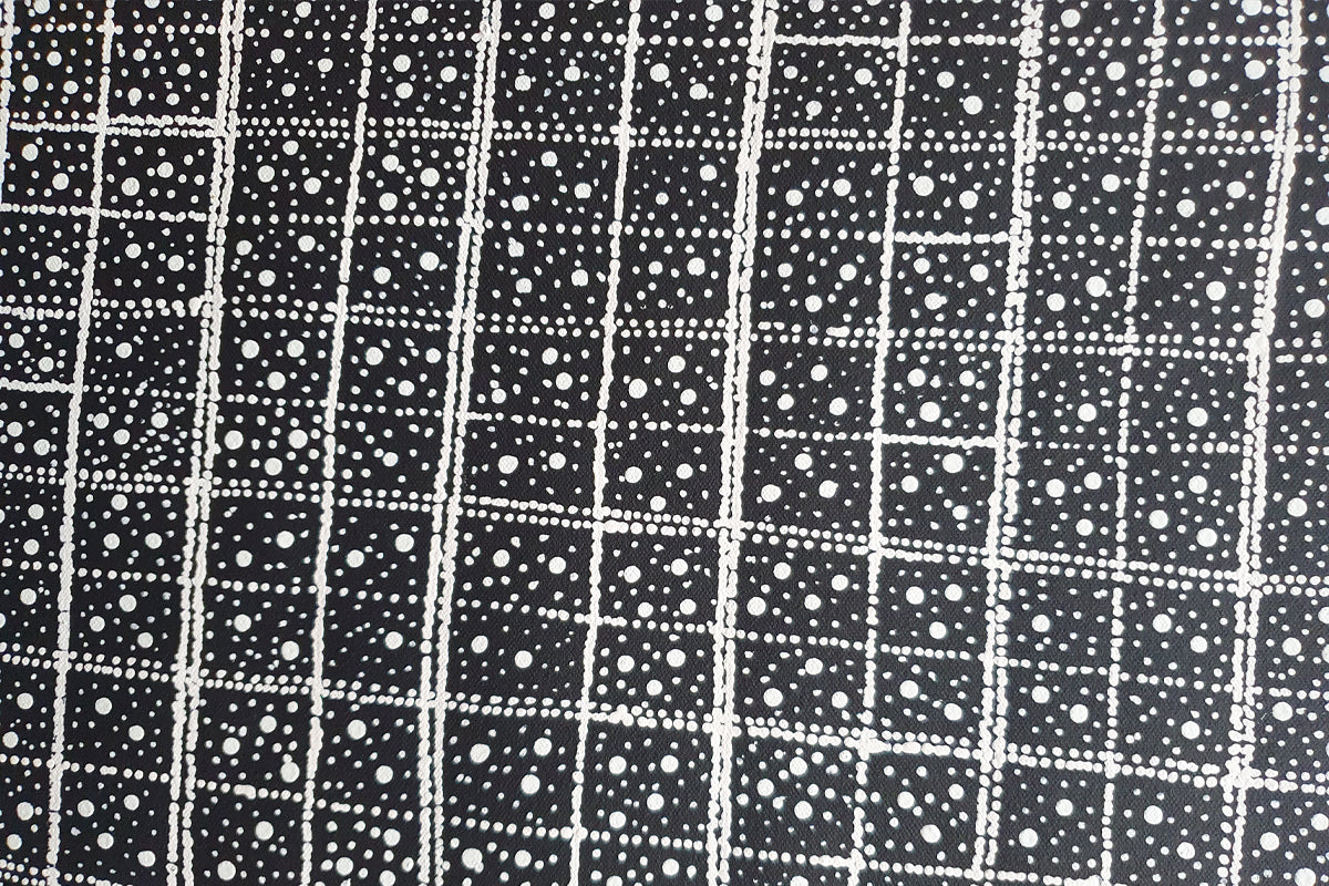 Aboriginal Painting - Mina Mina