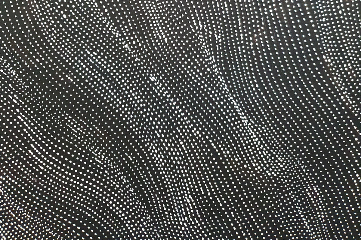 Aboriginal Painting - My Country