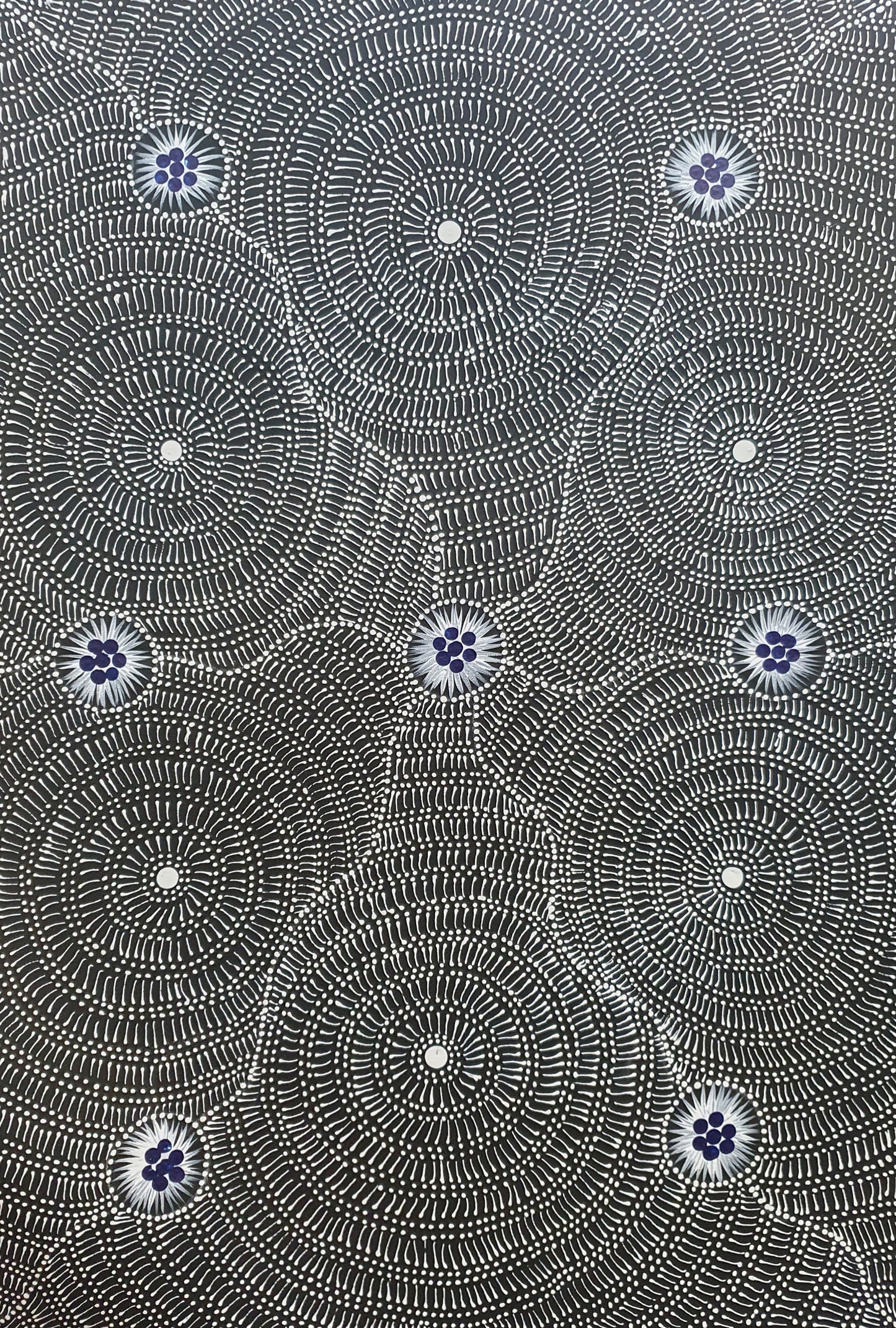 Aboriginal Painting - Wild Bush Black Seeds