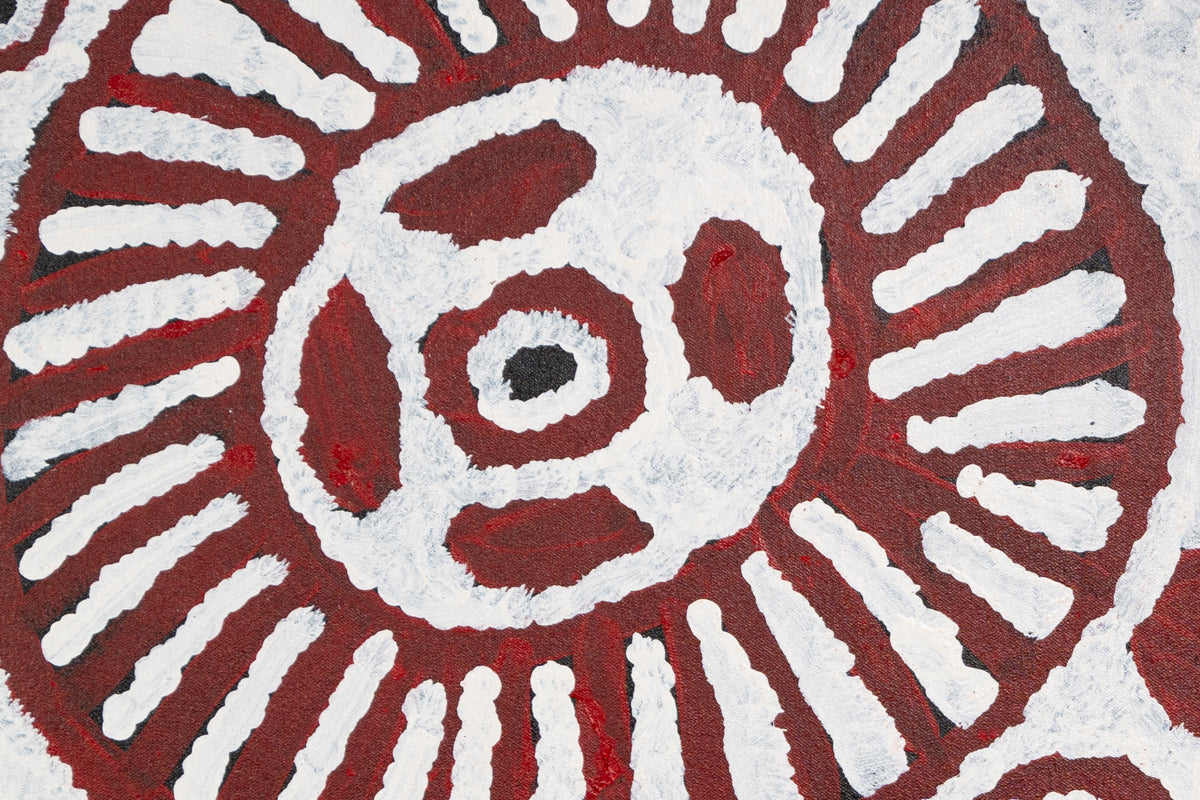 Aboriginal Painting - Wirrulunga Country