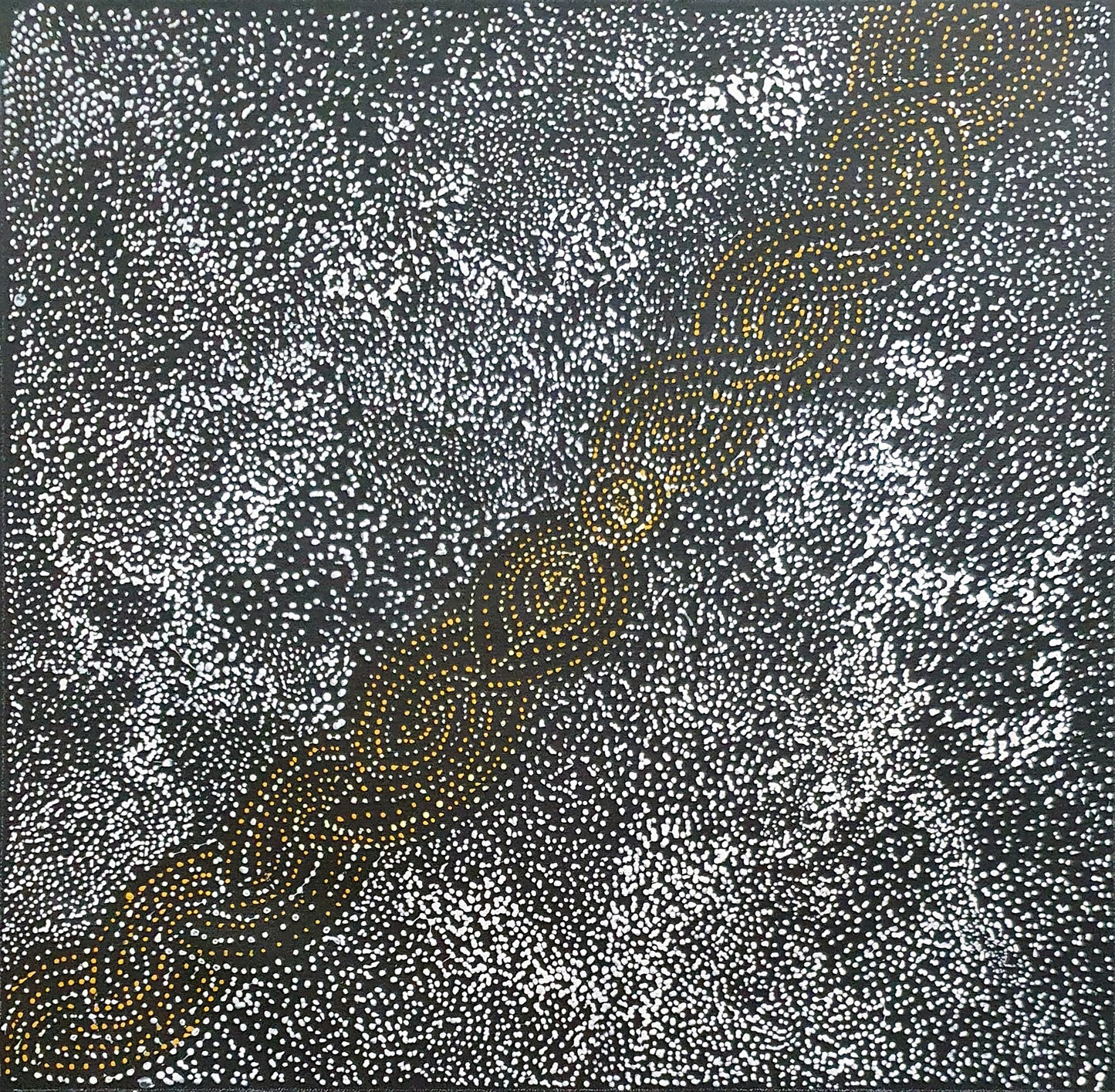 Aboriginal Painting - Bush Plum Dreaming