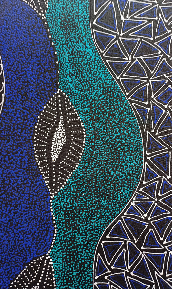 Aboriginal Painting - My Country