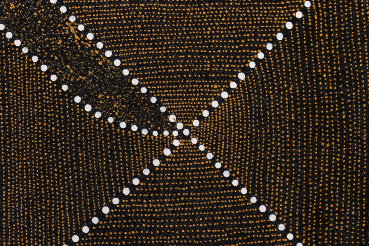 Aboriginal Painting - Thorny Devil Lizard