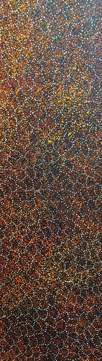 Aboriginal Painting - Bush Plum