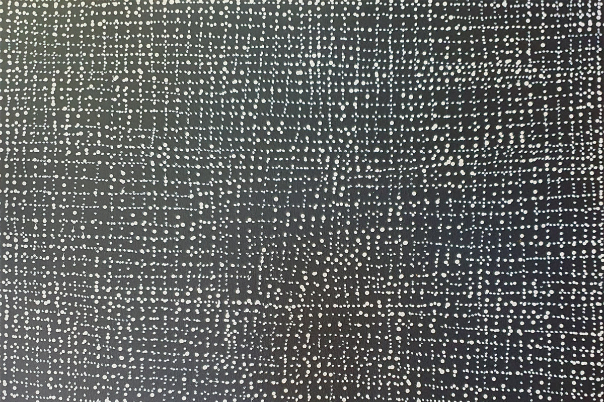 Aboriginal Painting - Mina Mina