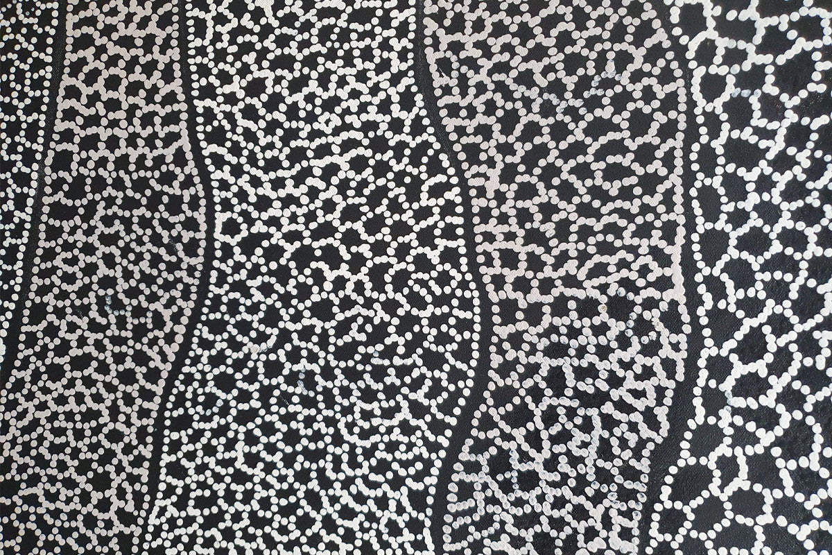 Aboriginal Painting - My Country