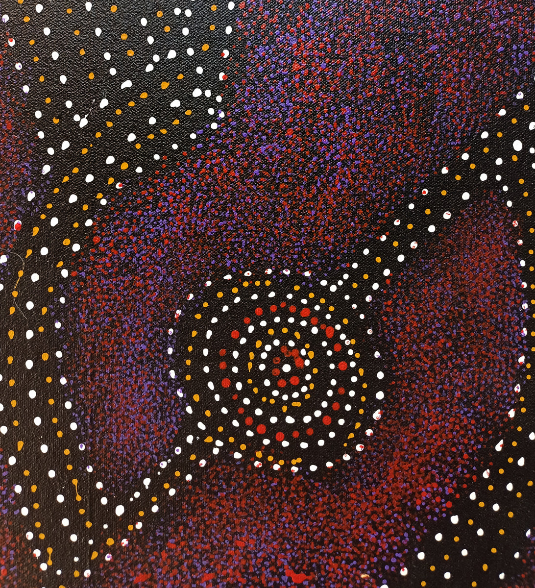 Aboriginal Painting - Bush Plum