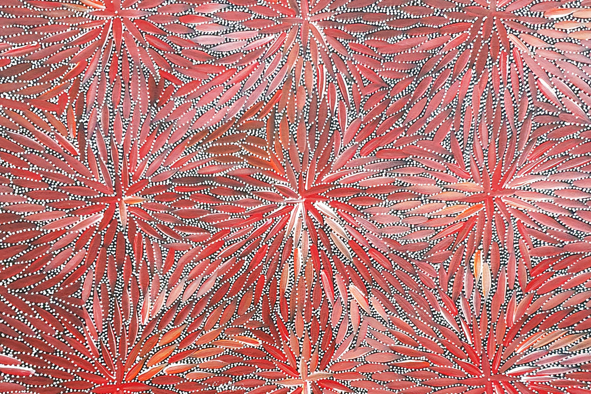 Aboriginal Painting - Bush Medicine Leaves