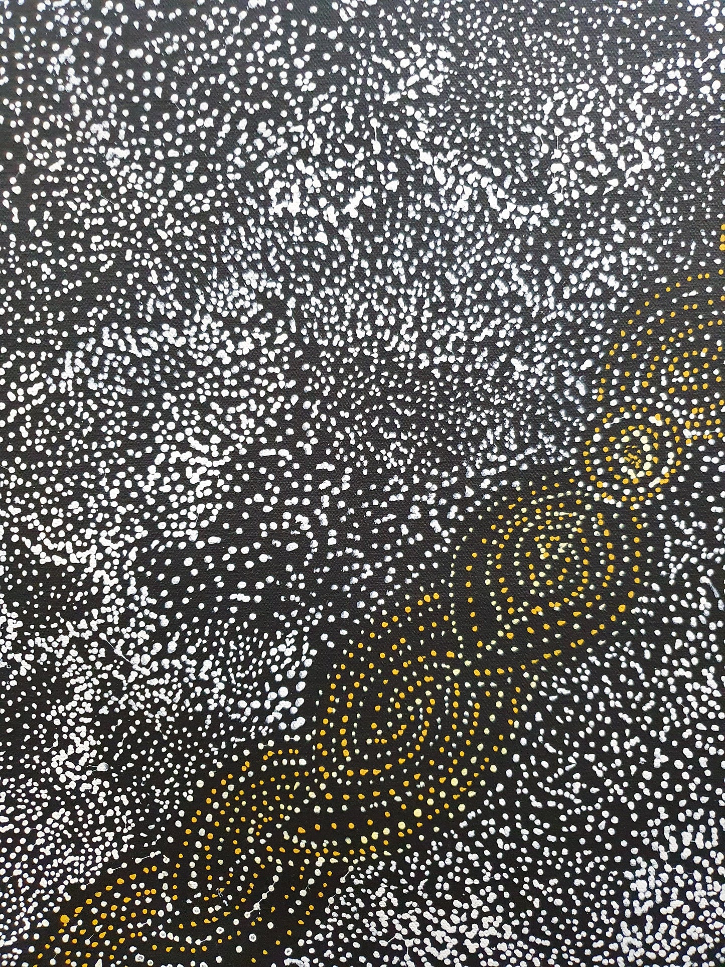 Aboriginal Painting - Bush Plum Dreaming