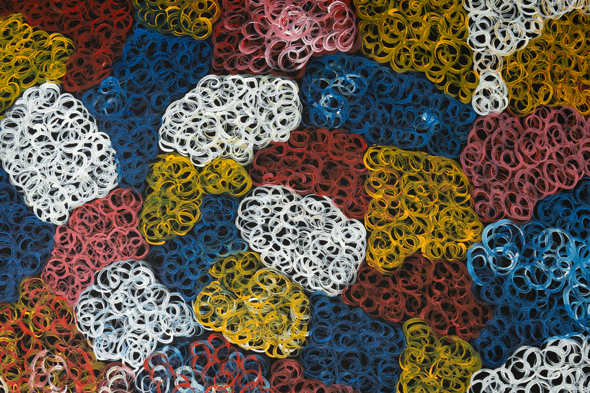 Aboriginal Painting - Mountain Desert Lizard