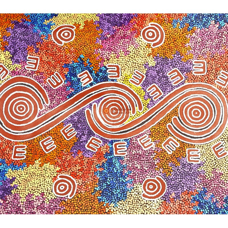 Aboriginal Painting - Possum Dreaming