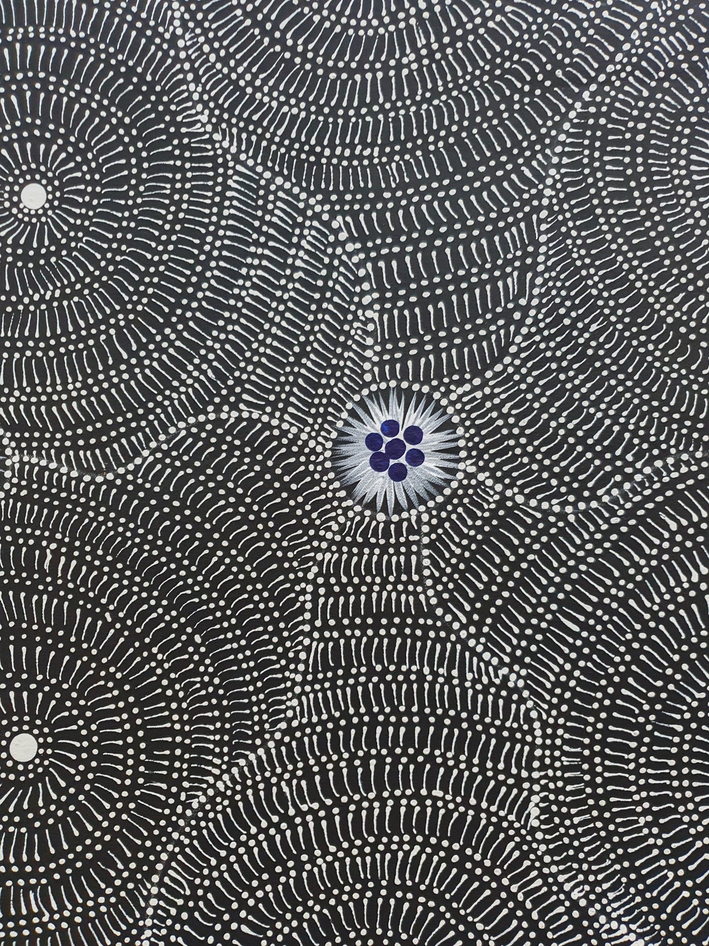 Aboriginal Painting - Wild Bush Black Seeds
