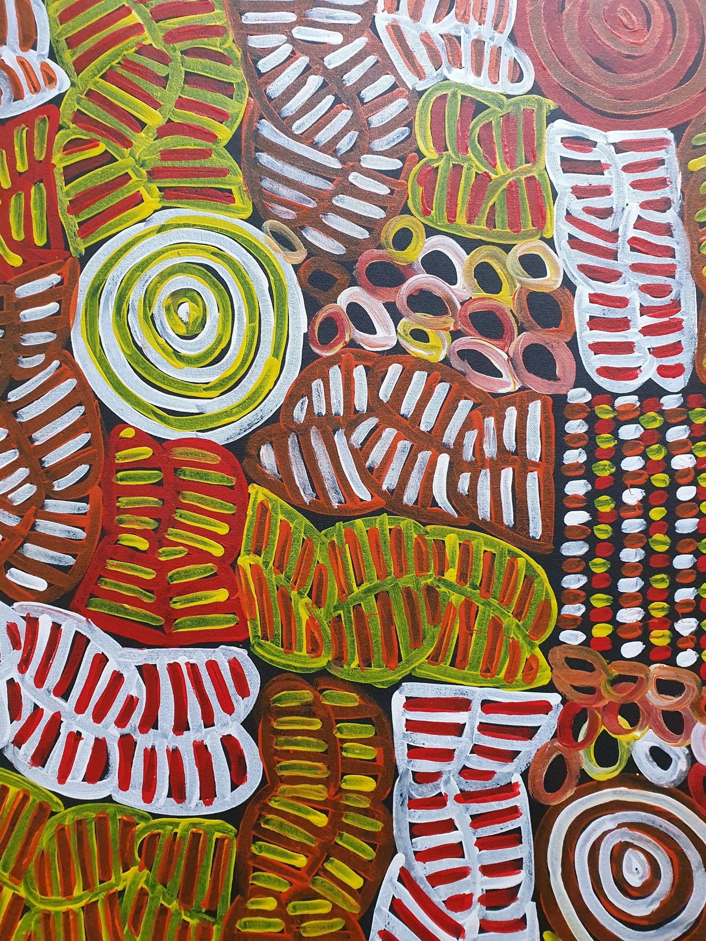 Aboriginal Painting - Alewye