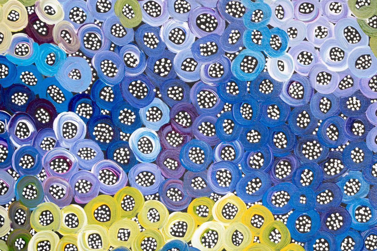 Aboriginal Painting - Water Holes