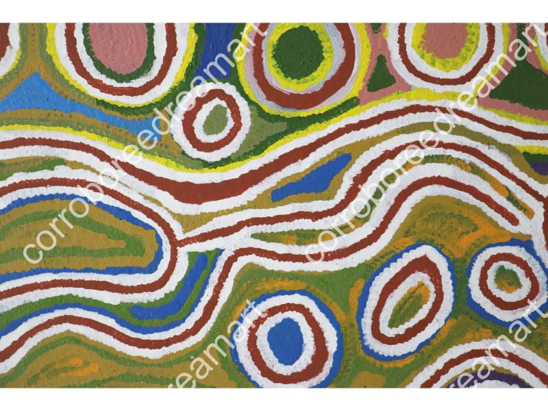 Aboriginal Painting - Mina Mina