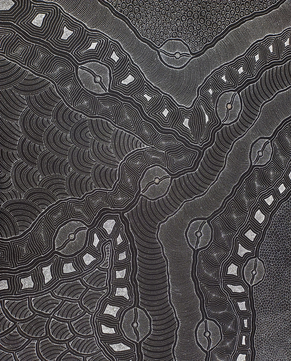 Aboriginal Painting - My Country