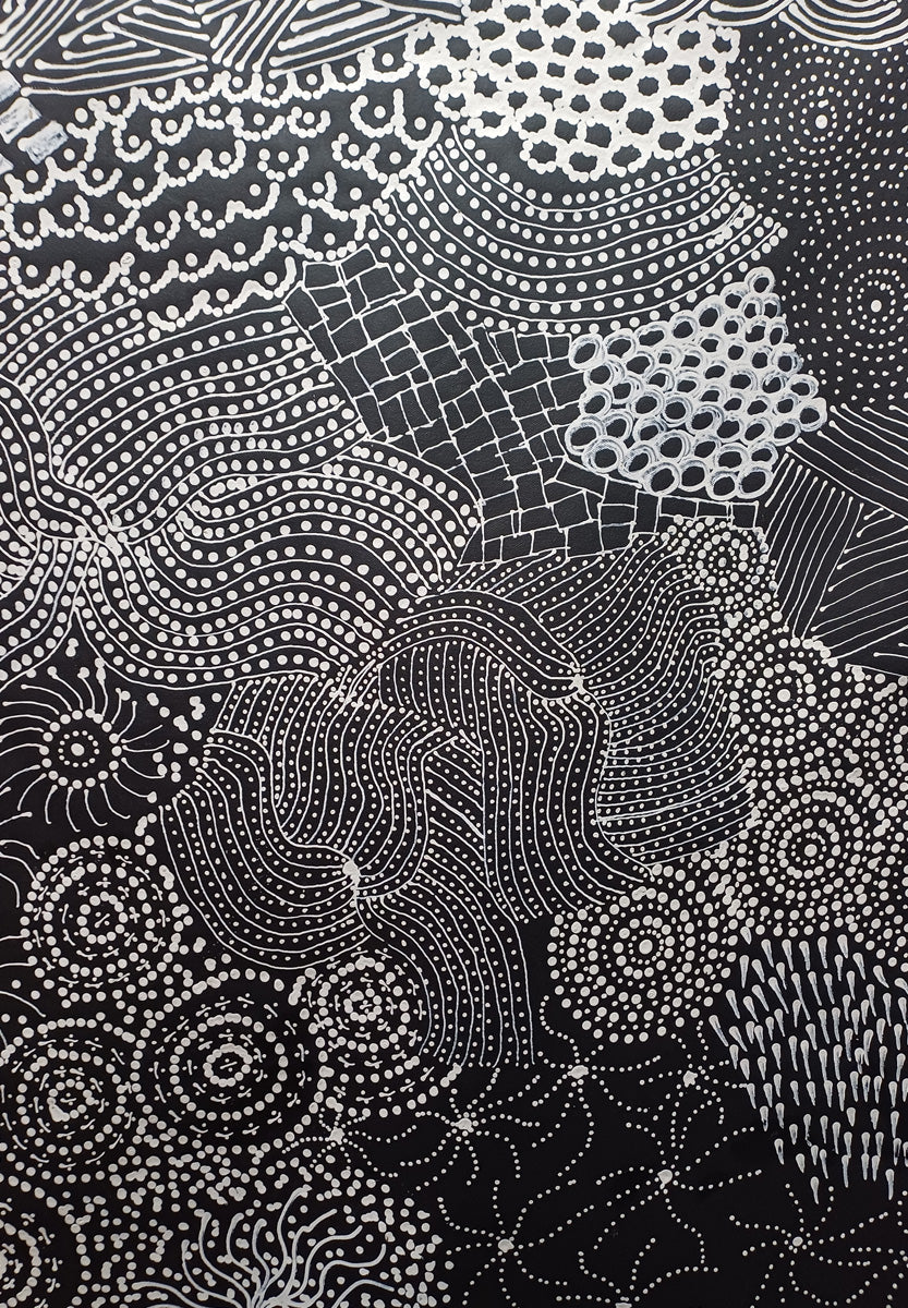 Aboriginal Painting - My Country