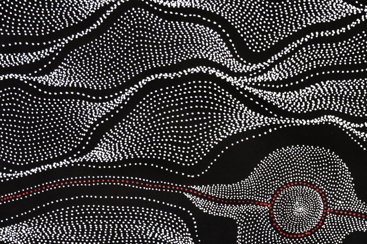 Aboriginal Painting - My Mother’s Country