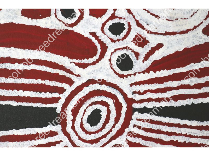 Aboriginal Painting - Women’s Ceremony