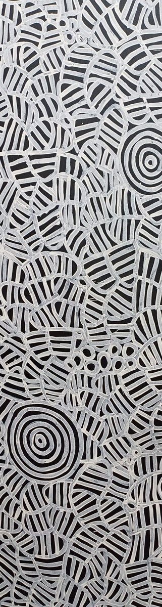 Aboriginal Painting - Alewye
