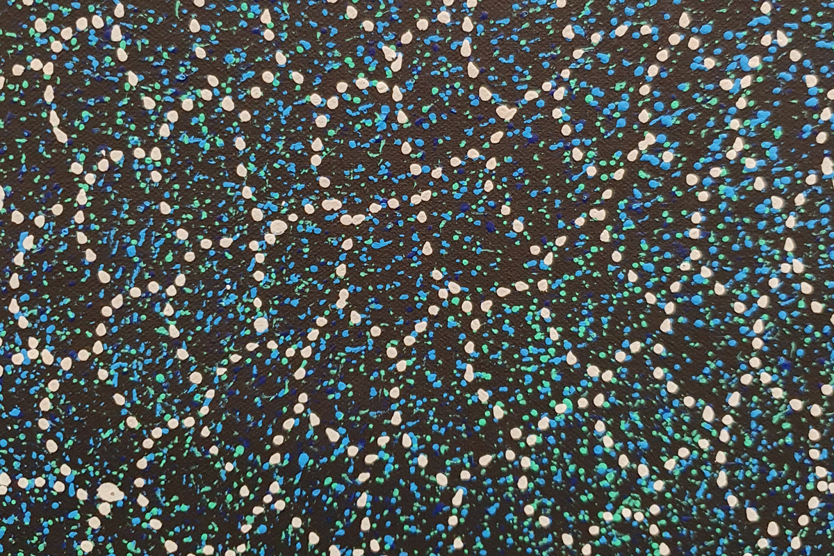 Aboriginal Painting - Bush Plum