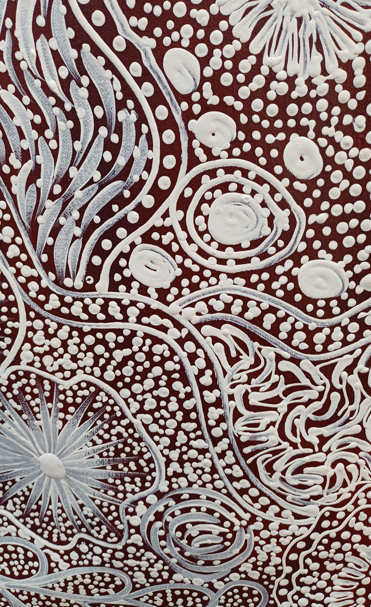 Aboriginal Painting - Bush Yam