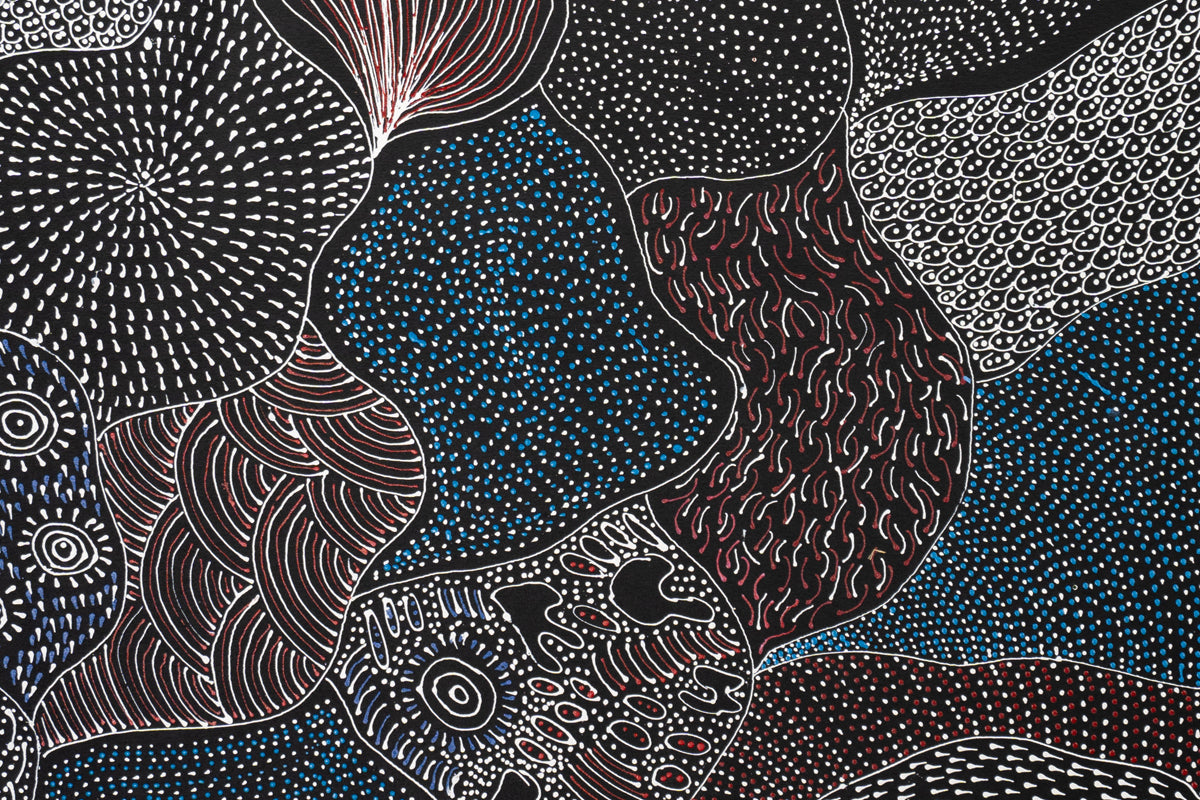 Aboriginal Painting - My Country