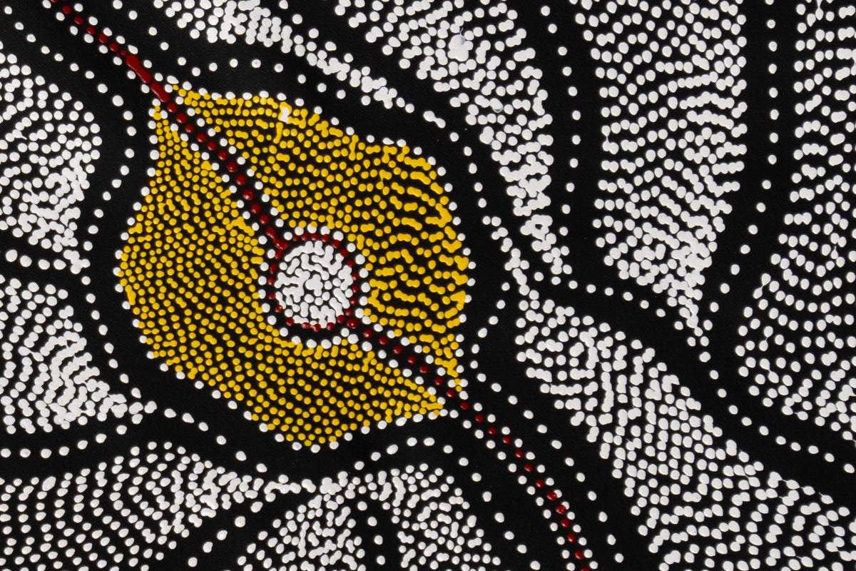 Aboriginal Painting - My Mother’s Country