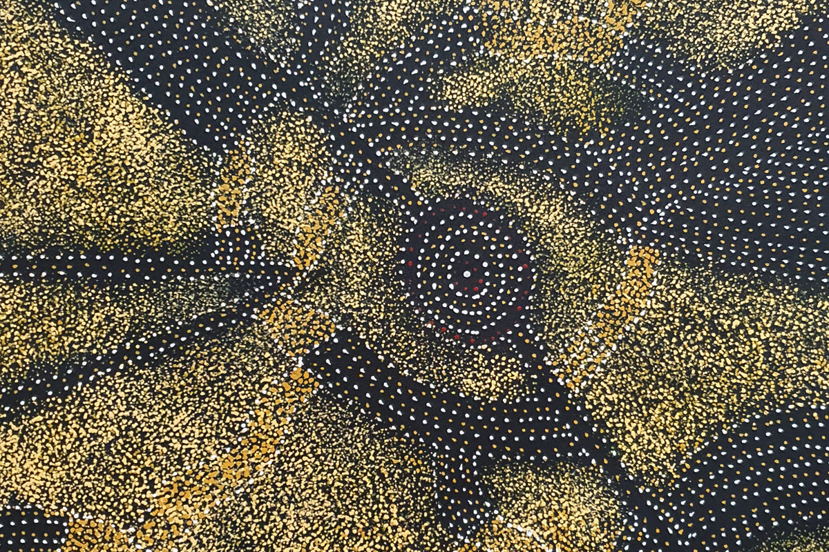 Aboriginal Painting - Bush Plum Dreaming