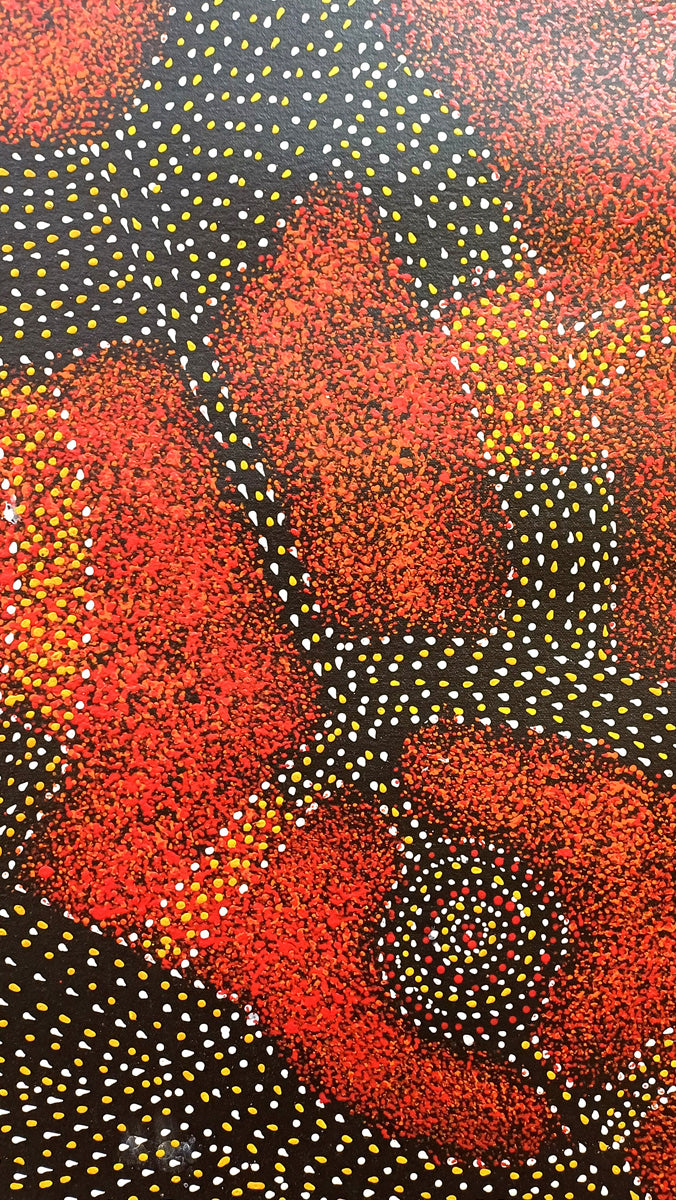 Aboriginal Painting - Bush Plum