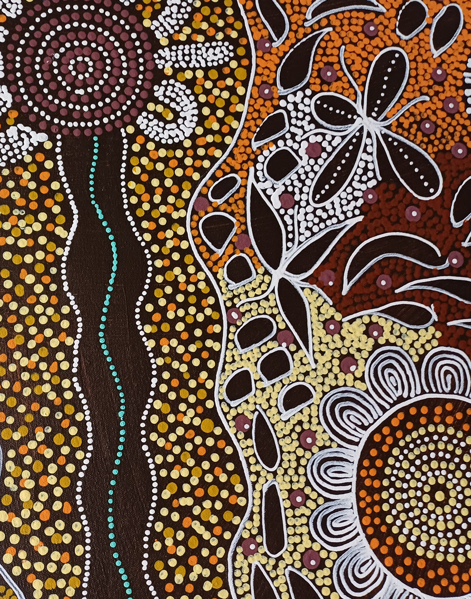 Aboriginal Painting - Woman's Ceremony