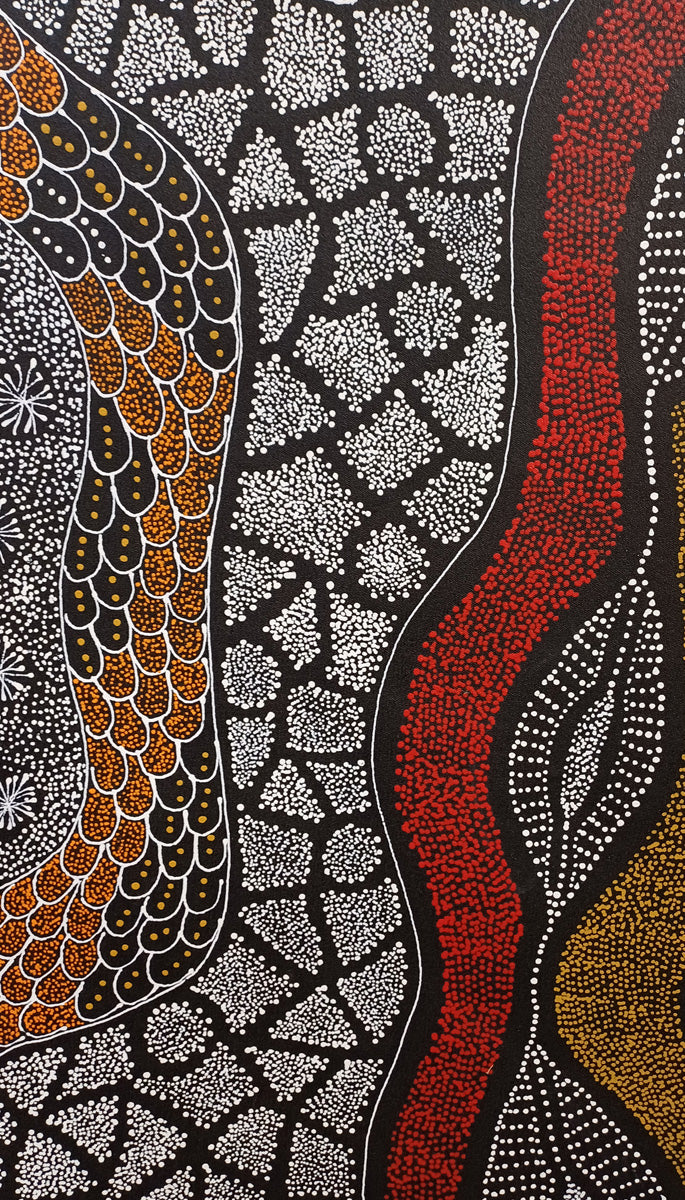 Aboriginal Painting - My Country