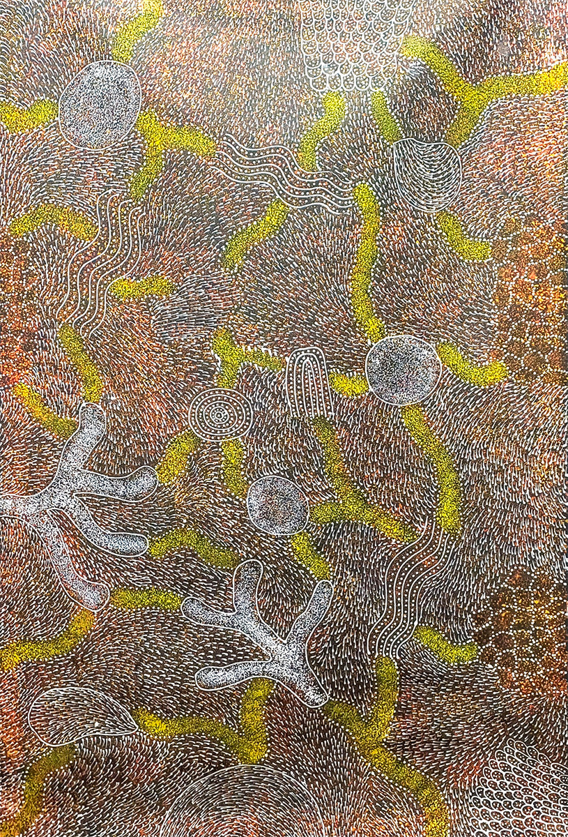 Aboriginal Painting - Bush Plum Dreaming