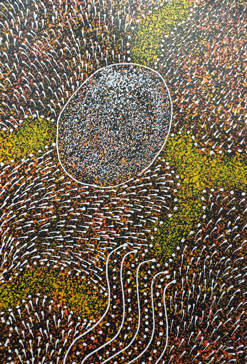 Aboriginal Painting - Bush Plum Dreaming