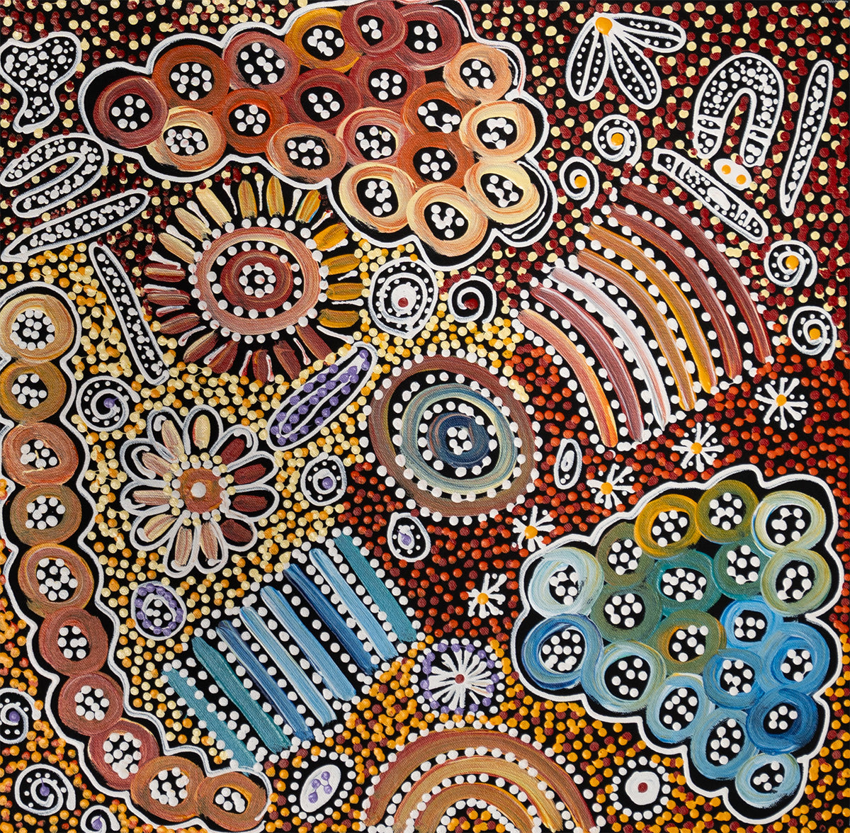 Aboriginal Painting - Bush Yam My Country