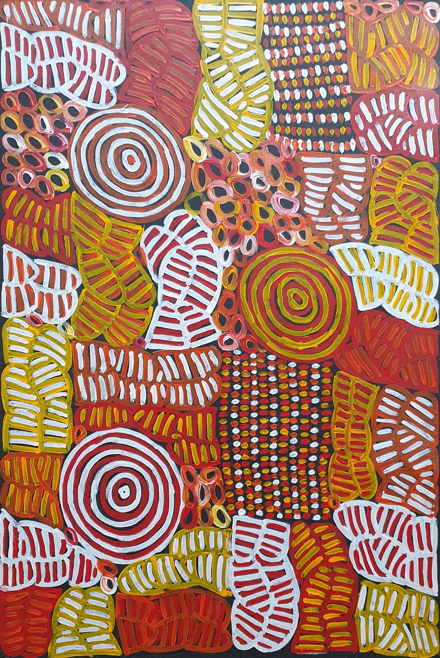 Aboriginal Painting - Alewye