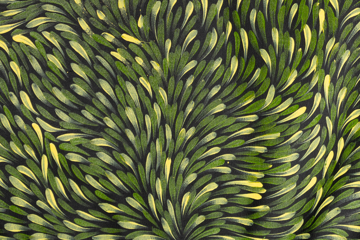 Aboriginal Painting - Bush Medicine Leaves